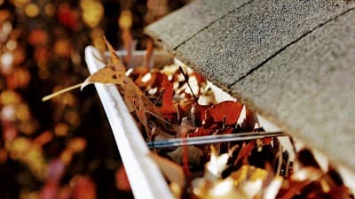 The Brothers That Just Do Gutters