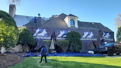 Underdog Roofing