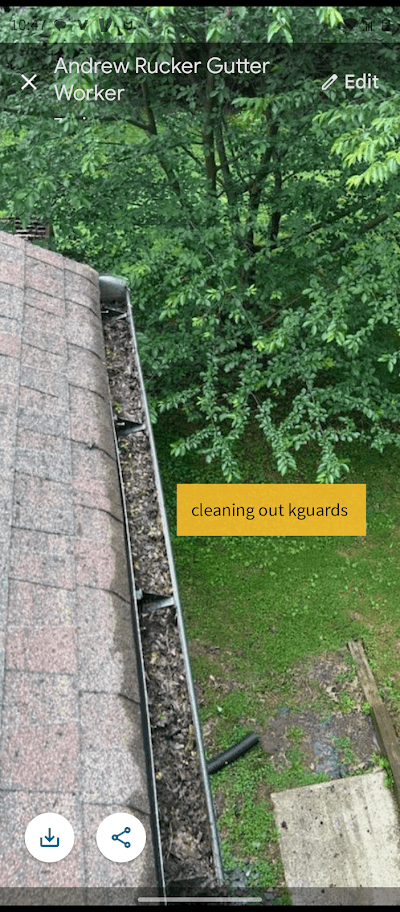 Leaf Relief Gutter Cleaning