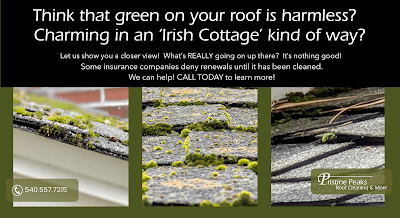 Pristine Peaks Roof Cleaning & More, Inc