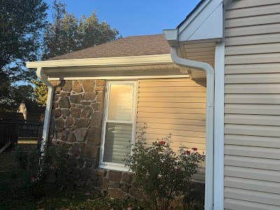 Tiger Gutters