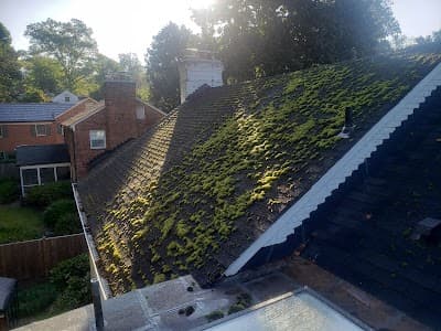 Roof Real Clean